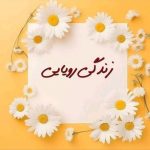 زندگی رویایی