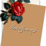 بال پرواز 3